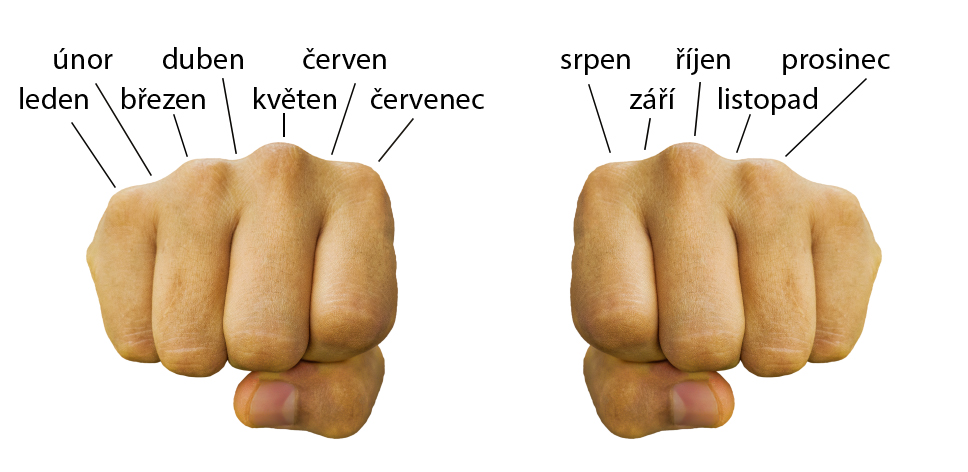 Jak počítat měsíce